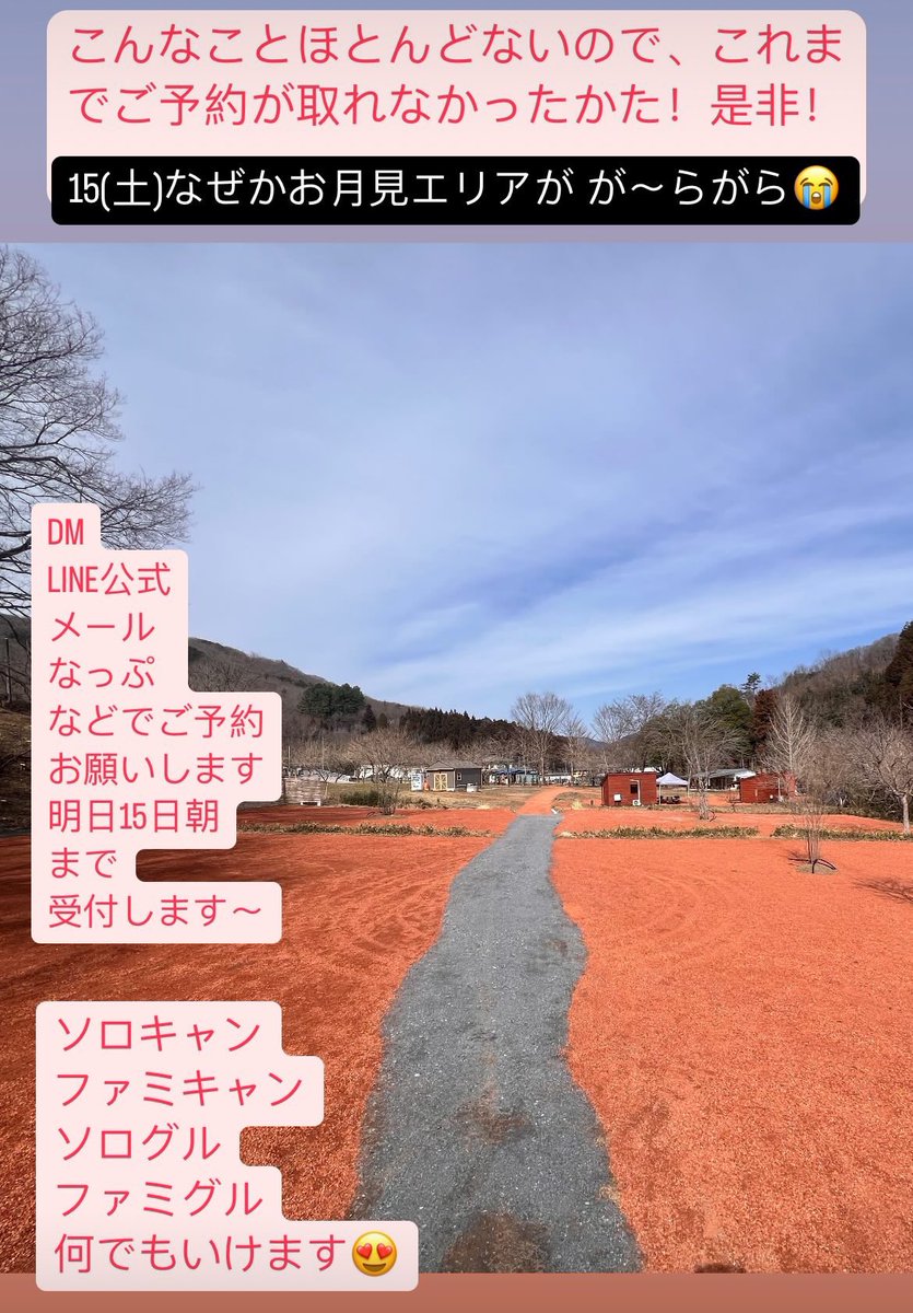 キャンプしてもいいぜ、という紳士淑女の皆様、DMくださーい😻