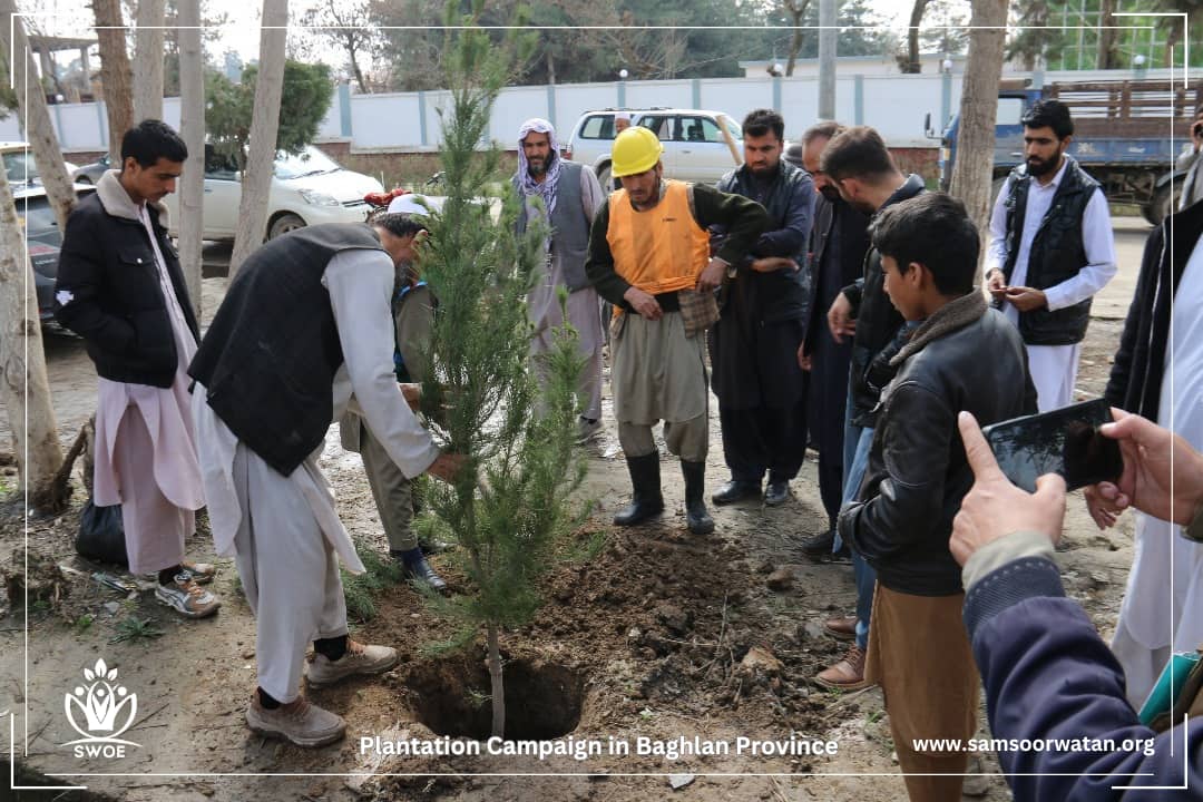 samsoor_watan's tweet photo. Samsoor Watan, in collaboration with The Liaison Office (TLO), organized a tree-planting campaign in Baghlan Province.
The campaign took place in the Baghlan Markazi district and was attended by representatives from Samsoor Watan, TLO, local authorities, environmental https://t.co/u4Stg54jLw