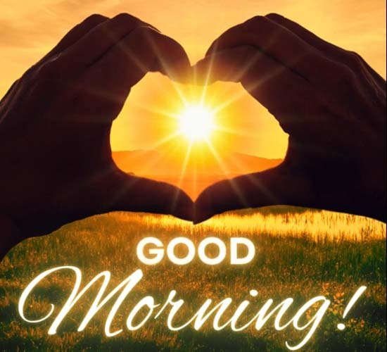 Always listen to your heart, it will show 

you the right direction.✨🌞

Good morning X ❣️