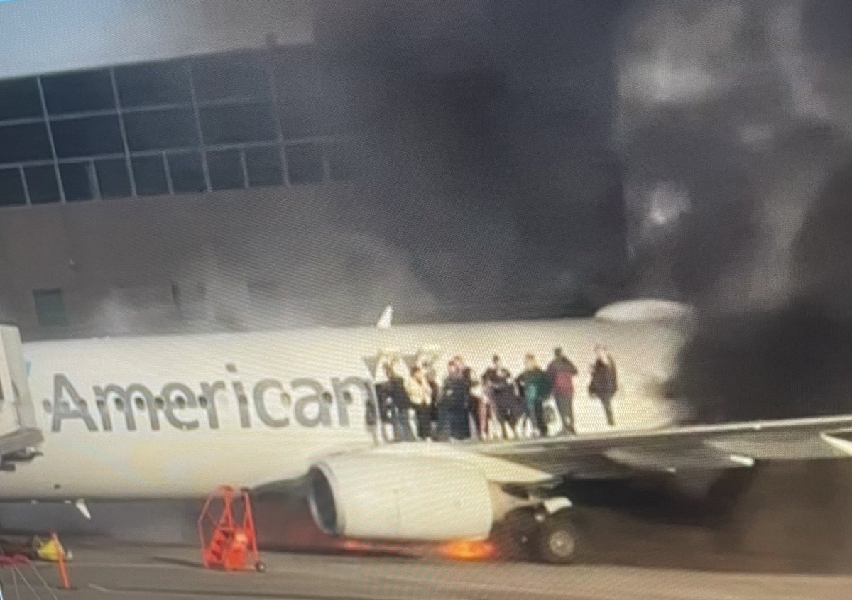 the metaphors come home to roost