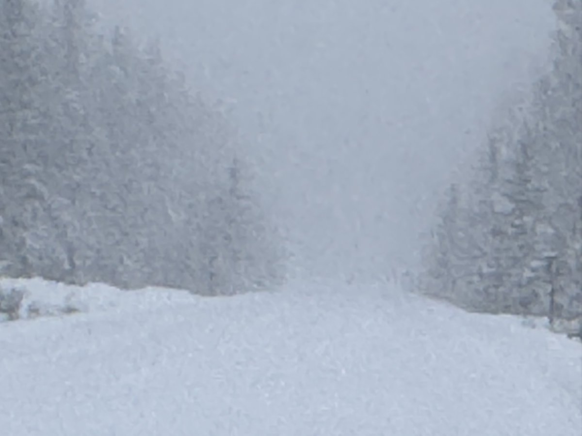 And again…keep it coming…It’s PAH-UKING #snow in #Kananaskis valley  -5, approx 10ish cm so far. #March2025 #abstorm #ShareYourWeather