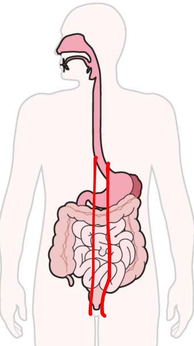 <a href="/DelusionPosting/">Delusional Takes</a> why not??