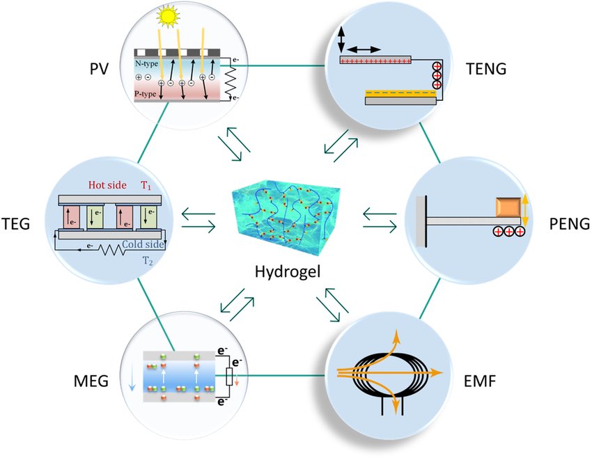 Energy harvesting technologies for hydrogel‐based bioelectronics. PV: PV energy harvesting; TEG: thermoelectric generator; MEG: moisture‐enabled electric generator; TENG: triboelectric nanogenerator; PENG: piezoelectric nanogenerator; EMF: electromagnetic field energy harvesting.