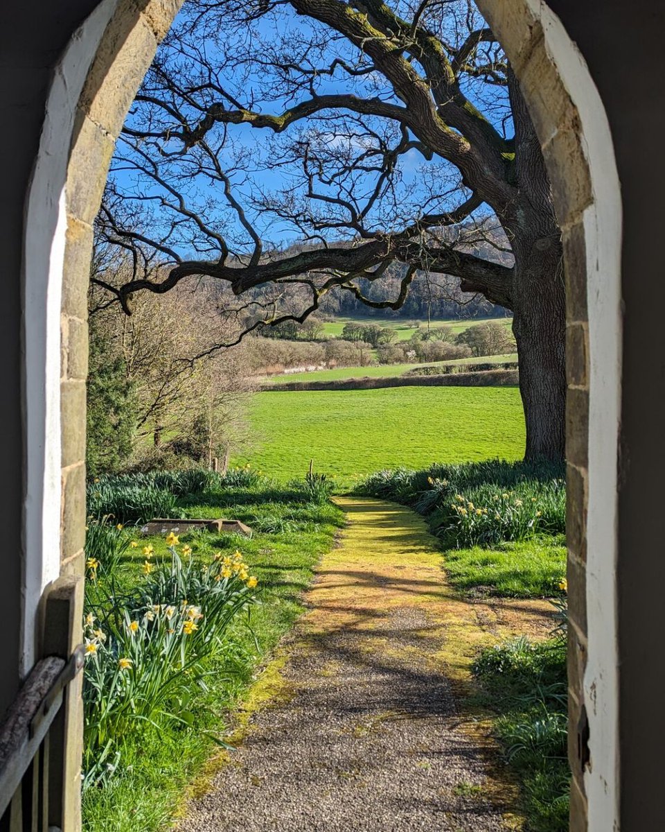 St. Mary's Church in Bepton offering a delightful view into everything March promises. 

📷 Will Prichard 

#SouthDowns #SpringIsComing