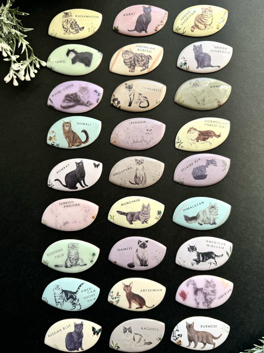 デザイン転写紙多数 ポーセラーツ 転写紙 模様 LACE (レース) ティファニー ブルー
