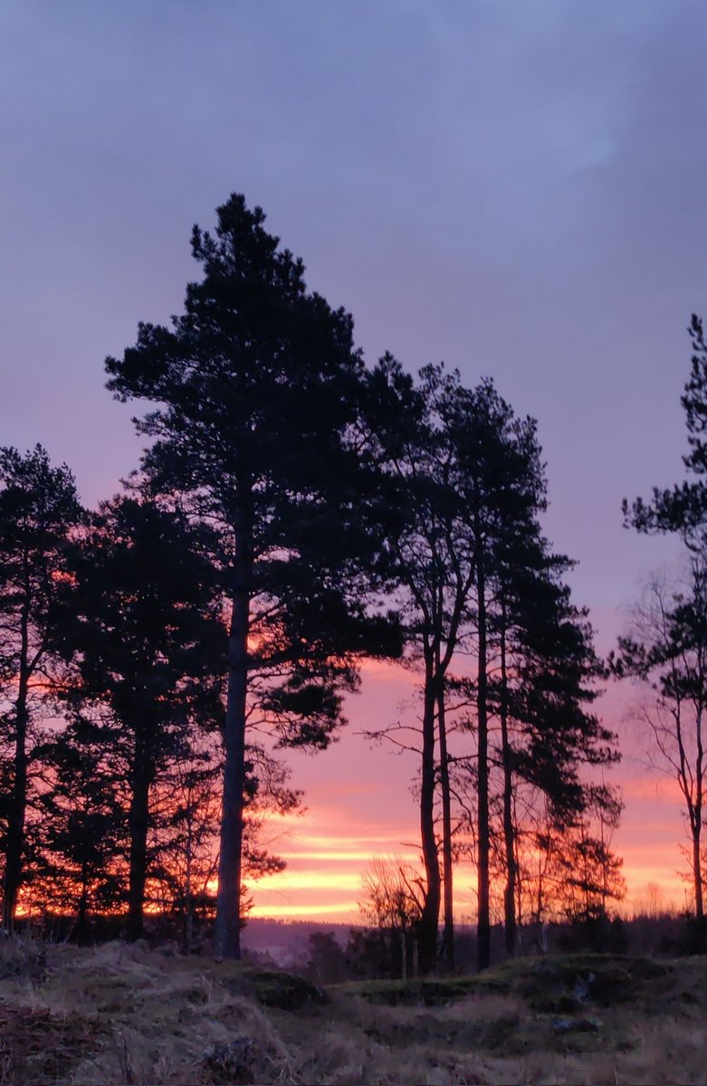 Søndag morgen og det er vakkert å se sola står opp 🌄🥰. En fin dag til dere alle 🥰.