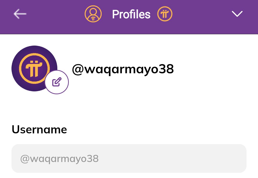 Alpha Whale 🐳 tweet media