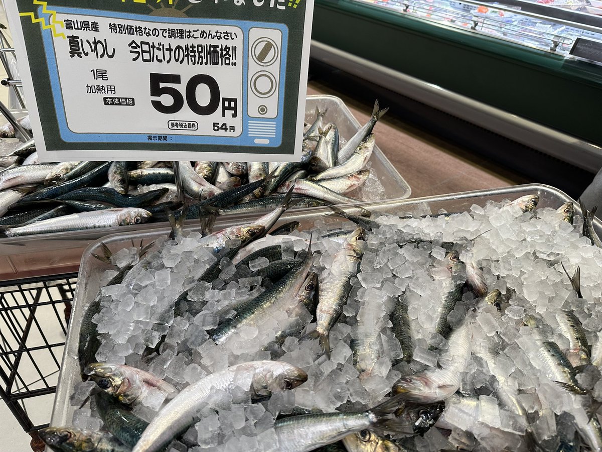 sakana_______a's tweet photo. 本日は久しぶりに氷見の天然ぶり入荷しております!!
先日【#キャッチ!】で取り上げられた #いわし を朝特売価格にて大奉仕!!
また、元気な #毛ガニ #ずわいがに もご用意しております!
#中京テレビ #長押しで4k #albis #ホタルイカ #モンハン #輪島に氷川きよしがきた #母親サインもらう https://t.co/zEU6dBvWF5