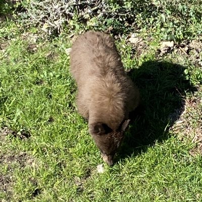 LuisAvil1's tweet photo. #NewProfilePic https://t.co/VxGjdrEJpD