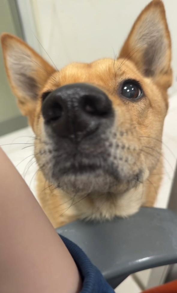 이보셔 나를 좀 만져봐