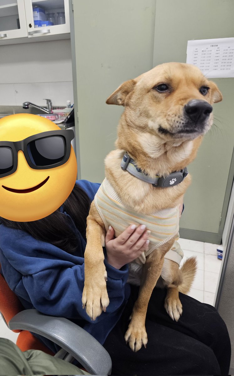 황당....요즘 만나는 사람마다 만져달라하고 무릎에 올라가고......