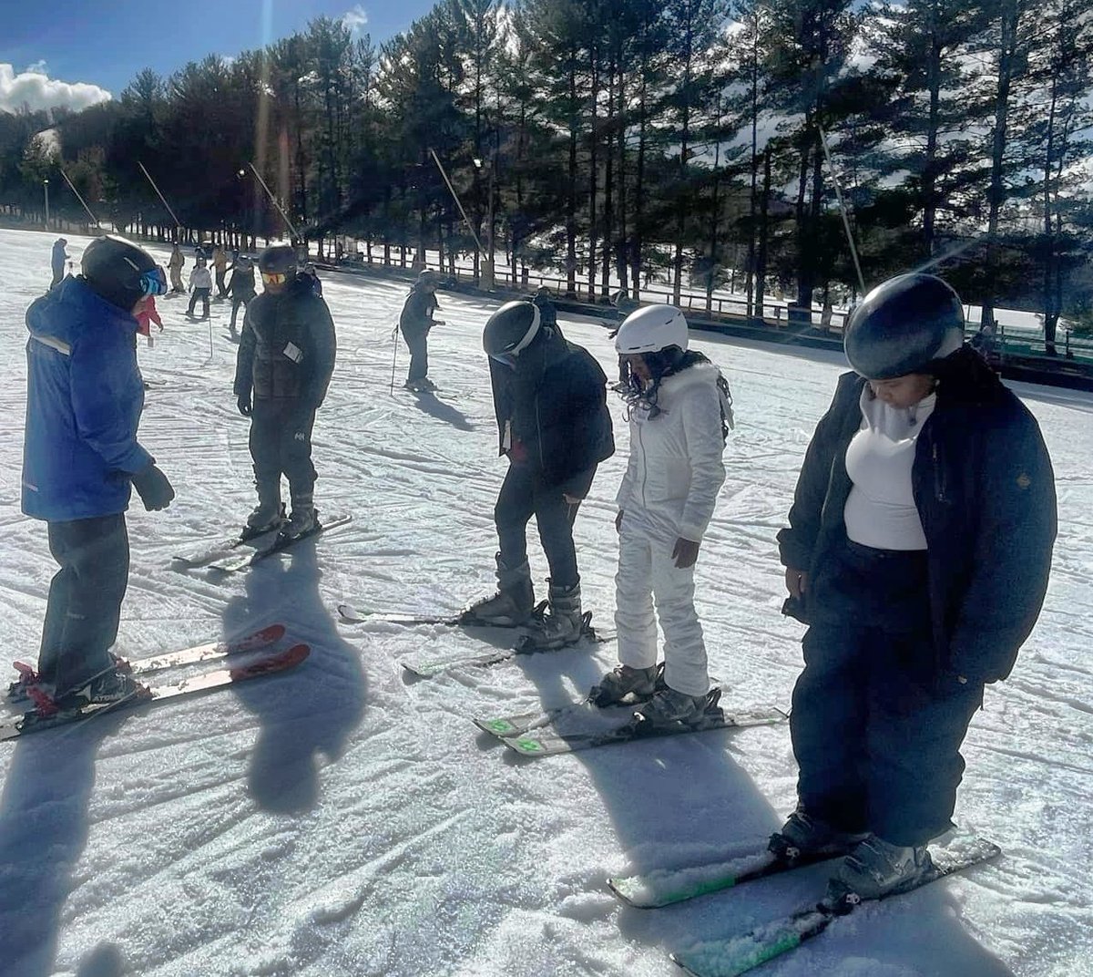 Mark Roy tweet media