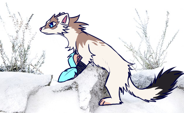 watamelyn's tweet photo. winter stoating
#Maypul https://t.co/lJgxc2b2y9