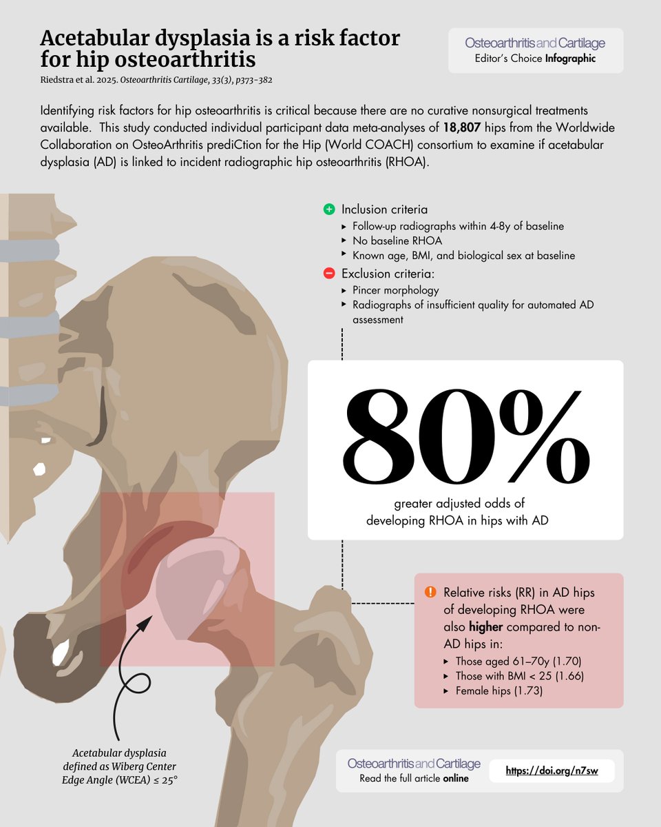 Osteoarthritis and Cartilage Journals (@oacjournal) on Twitter photo ⏰ This month's #EditorsChoice is on Acetabular Dysplasia (AD)
🧐 In 18,807 hips over 4-8 years ➡️ AD increased the odds of developing hip osteoarthritis by 80%!
Read for free from Riedstra et al - oarsijournal.com/article/S1063-…
<a href="/WorldCOACHteam/">World COACH consortium</a> ⏰ This month's #EditorsChoice is on Acetabular Dysplasia (AD)
🧐 In 18,807 hips over 4-8 years ➡️ AD increased the odds of developing hip osteoarthritis by 80%!
Read for free from Riedstra et al - oarsijournal.com/article/S1063-…
<a href="/WorldCOACHteam/">World COACH consortium</a>