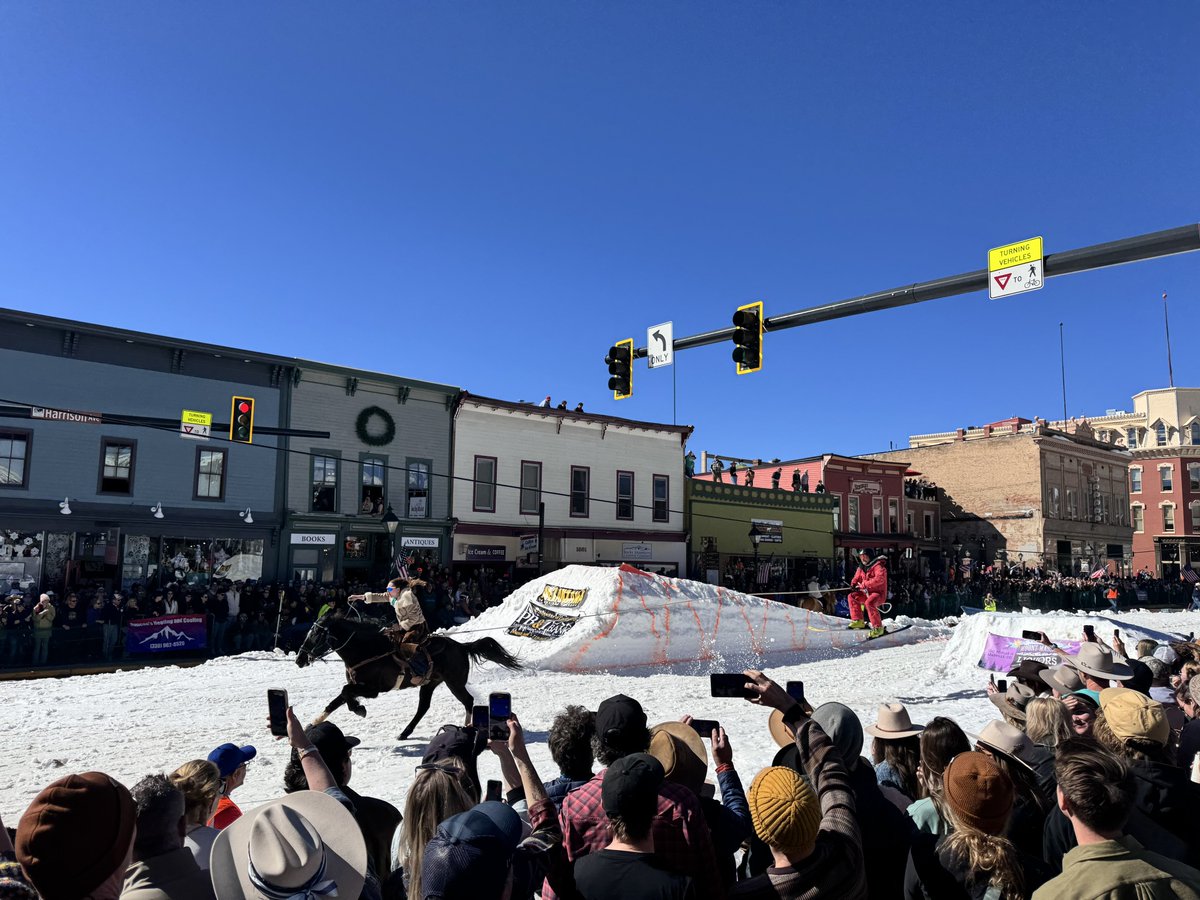 Jonathan Levitt tweet media