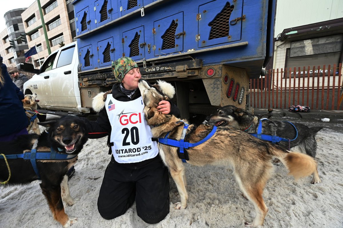 ADNIditarod's tweet image. Our updated story, with photos: Today's Iditarod ceremonial start drew eager dog teams, throngs of spectators and calls for "bootie bootie bootie" adn.com/outdoors-adven…