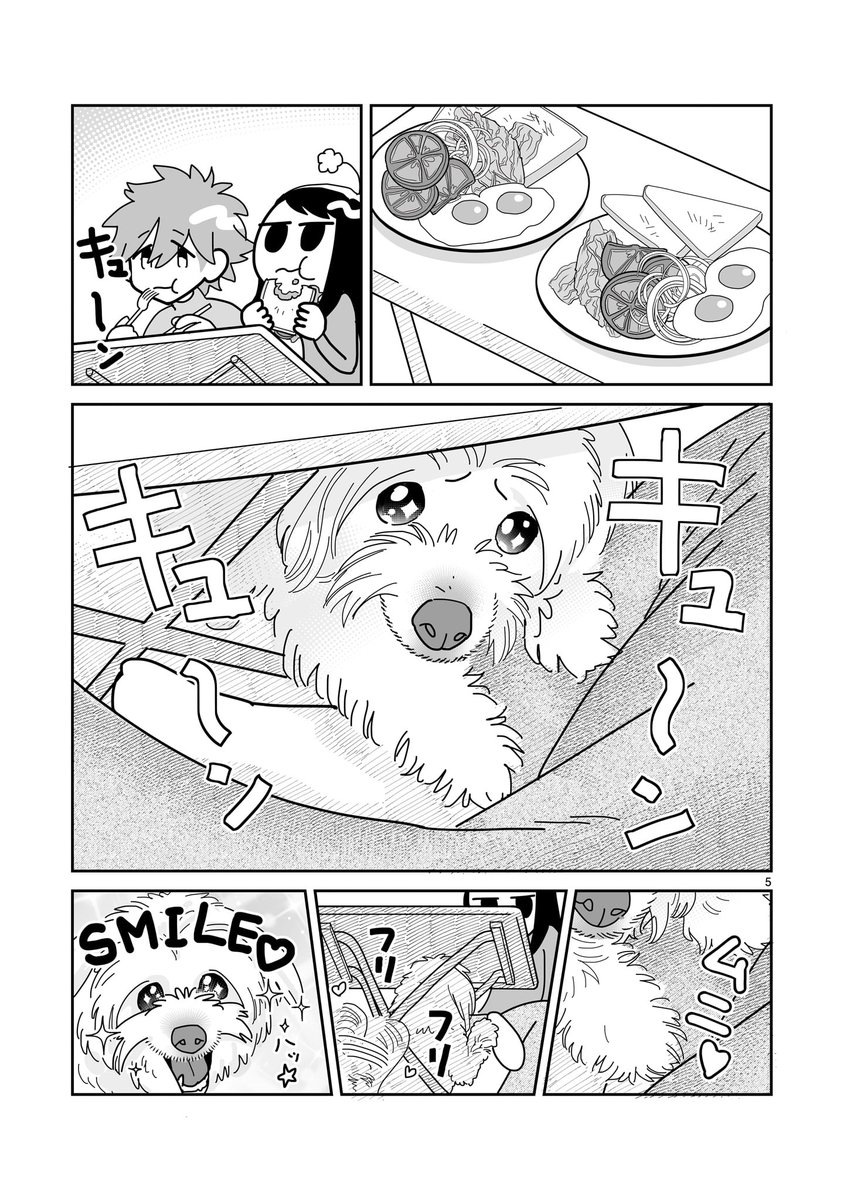 3.1/4(カウント間違えちゃった) 