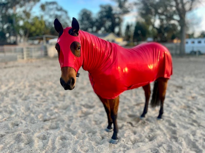 dieworkwear's tweet photo. do you support dress respectability for horses? should horses be treated the same no matter how they're dressed? https://t.co/hnsO2sUUru