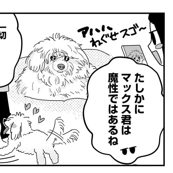 多分趣味でロックバンドもしてるカリスマホストドッグ 💋 