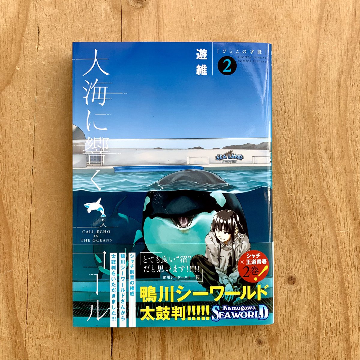 シャチ飼育の権威、鴨川シーワールドイチオシ漫画！
第2巻が入荷しています🐟

🐟営業時間🐟
12:00-17:30