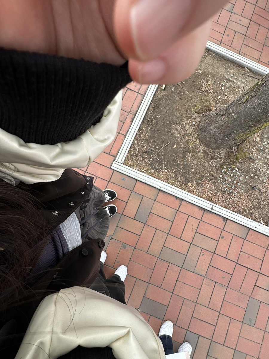 하치 tweet media