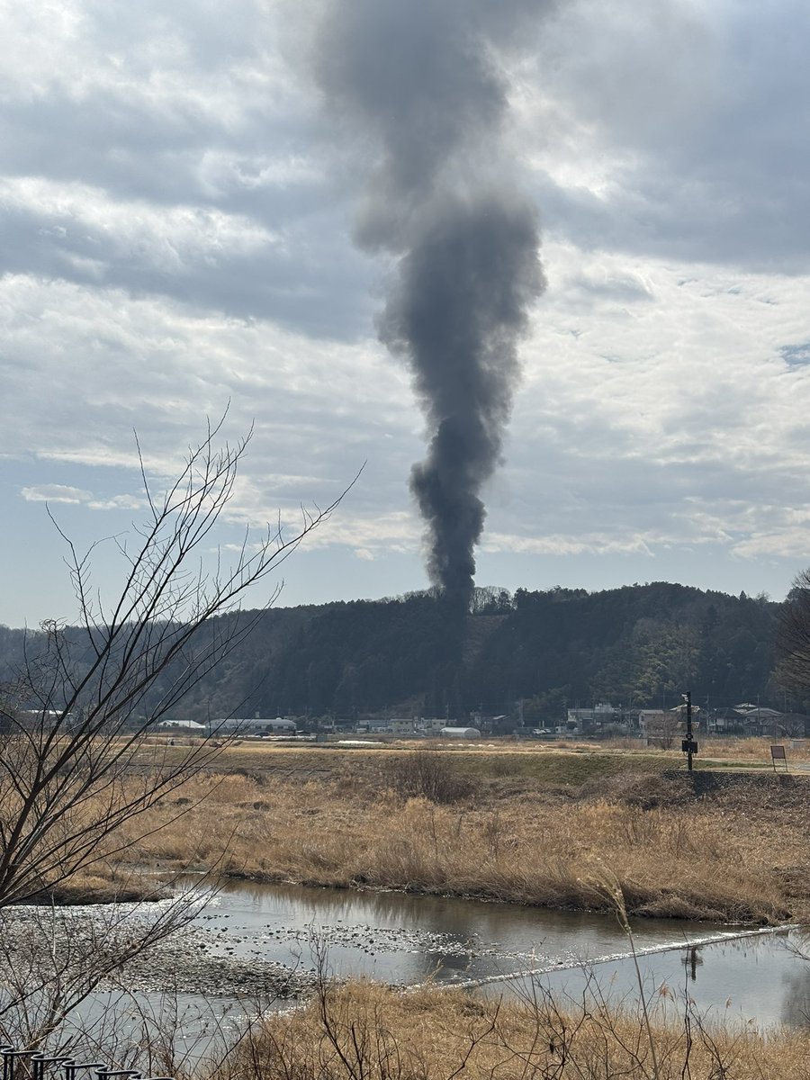 なんかすごい事になってる