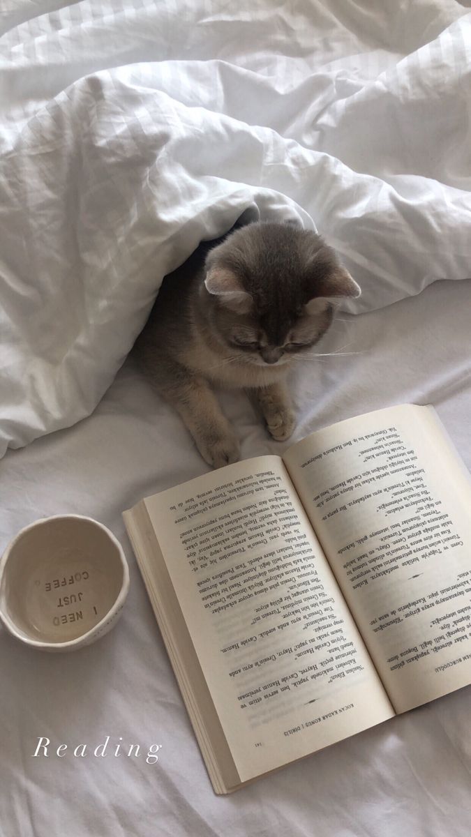 lenawstudy's tweet image. #studytwt | #study | #collegetwt 

- '06 - Estudante de medicina 
- 1° semestre 
- Aprovada pelo Fies e sempre pensando na dívida de 700k 

♡ música, livros, sitcons, amarelo e filosofia                               

                                ↺/♡: moots