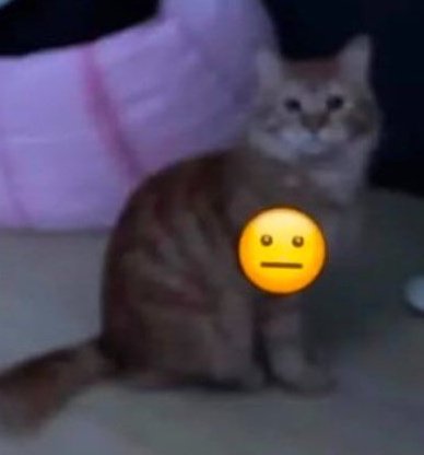 |•| estaba durmiendo, el fantasma de las navidades pasadas me despertó