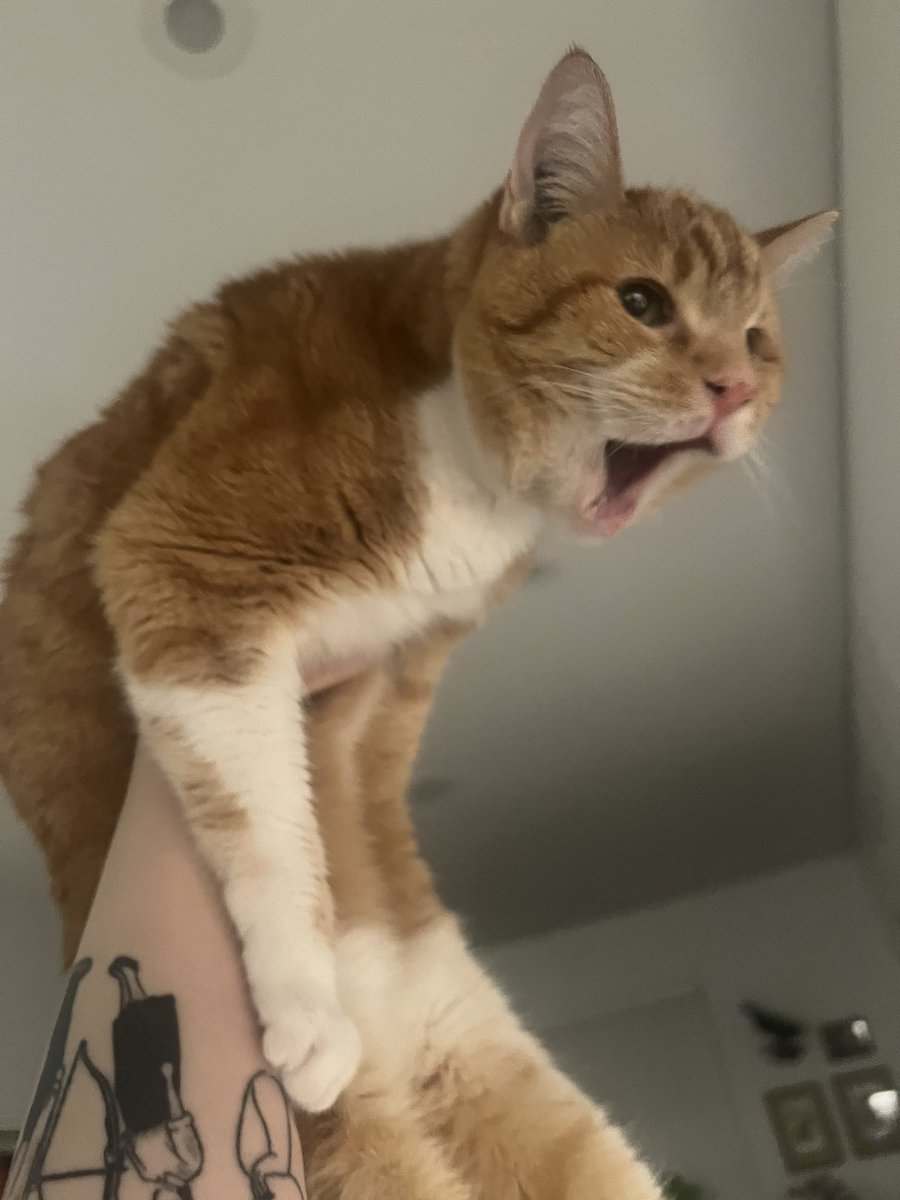 Ate chili out of the fucking pot