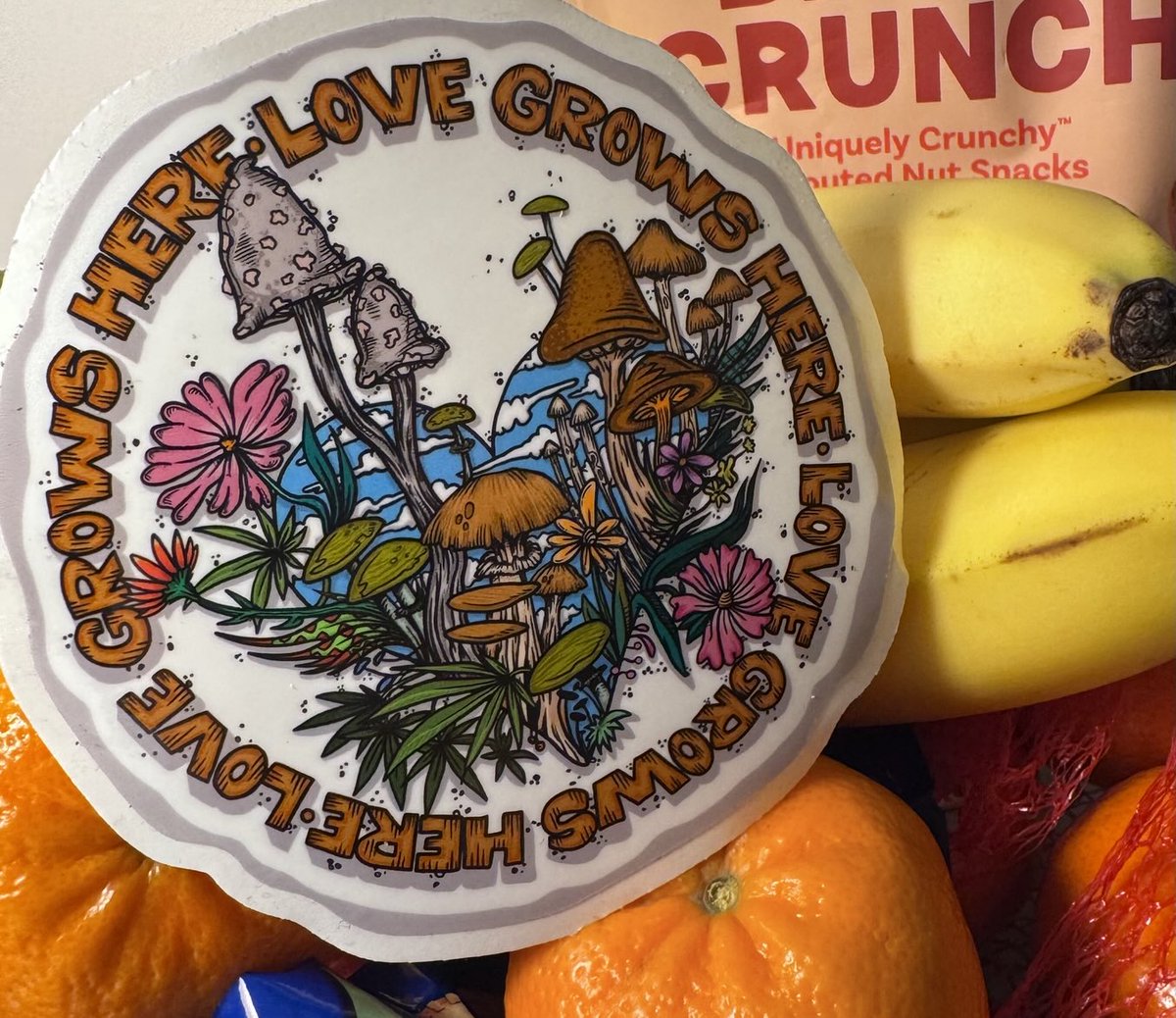 ⁦<a href="/vincentgordon/">vincent gordon</a>⁩ thanks for rolling thru today!