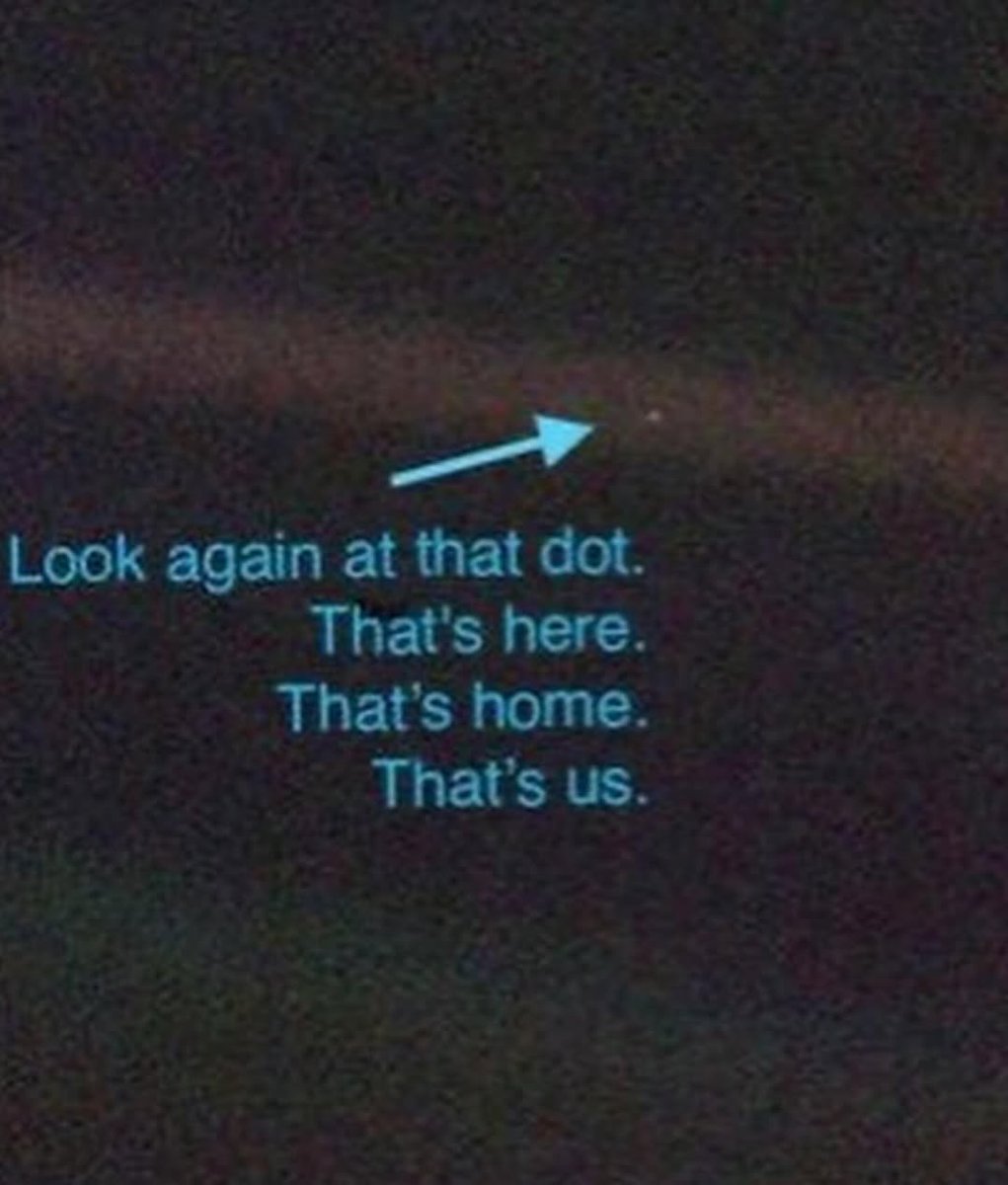 miniarchillect's tweet image. 