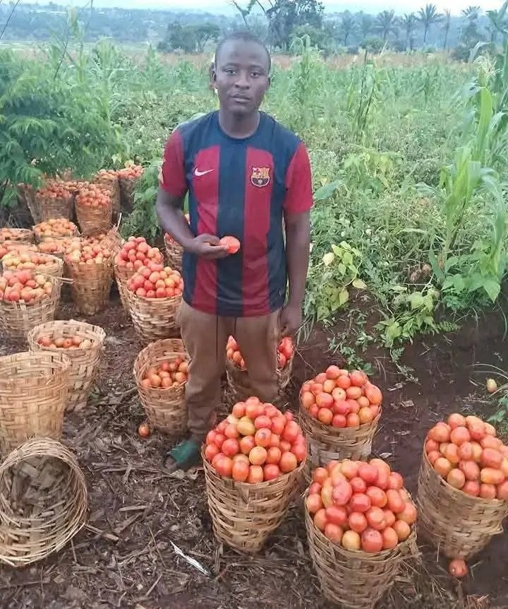 princemotapene2's tweet photo. Farming doesn't fall a man https://t.co/rPh3ddkQ50