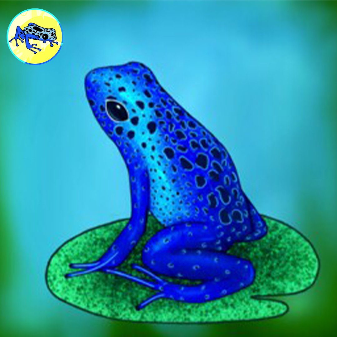 DartFrog's tweet photo. 💙 BLUE

💙 BEAUTIFUL

💙 BASED

💙 $DartFrog https://t.co/20QsrJslok
