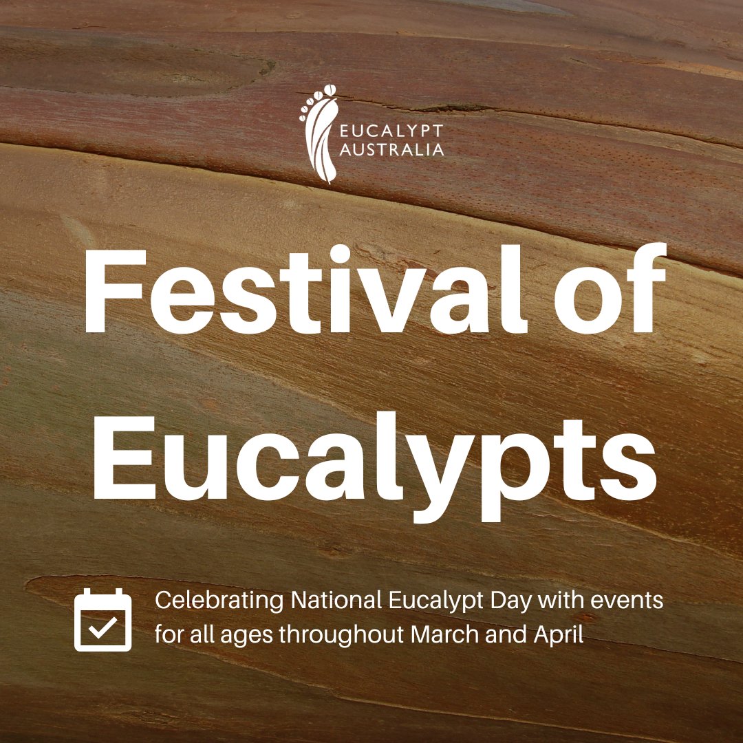 March has arrived and that means it's time to launch our annual Festival of Eucalypts to celebrate #NationalEucalyptDay2025!

Check the calendar now to find out #whatson near you throughout March and April: eucalyptaustralia.org.au/events-calenda…