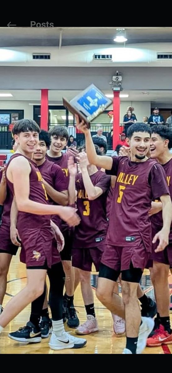 Vikings are District Tournament Champions! ⚔️