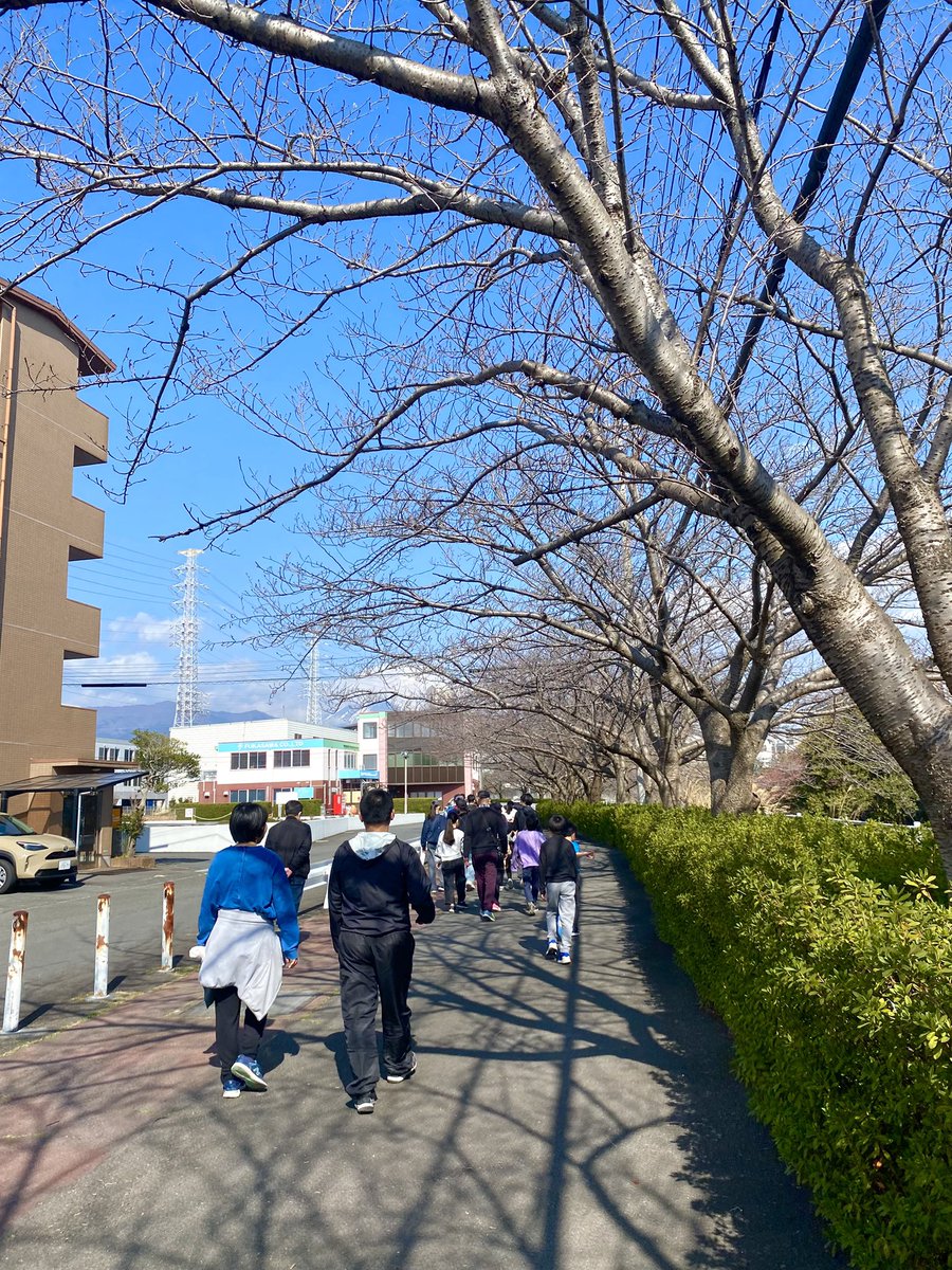春めいてきましたね☘️
今日は地域の「歩け歩け運動」

お子さんから大先輩まで、区民の皆さんの健康増進と交流の機会になっています。
早咲きのサクラ🌸も見ながら良い運動になりました🤗

#伊豆島田区
#歩け歩け運動