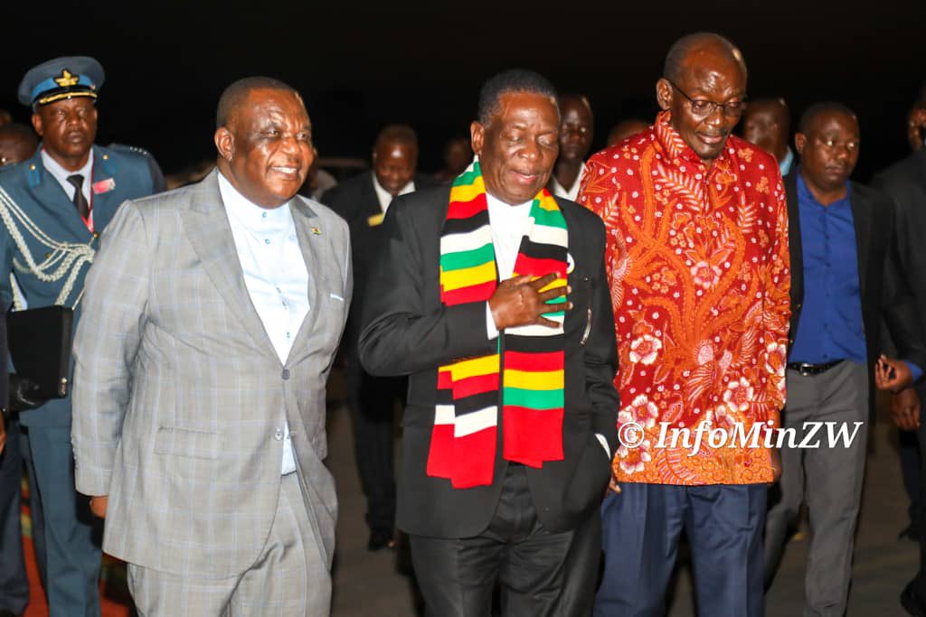 Nick Mangwana tweet media