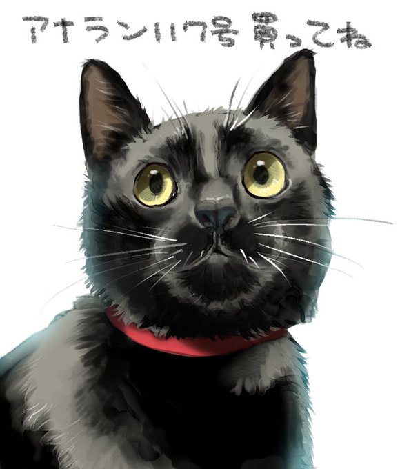 アナンガ・ランガvol.117さんの表紙イラスト描かせて頂きました!
表紙イラストのタペストリーの読者プレゼント企画もありますのでぜひ!
https://t.co/Yf8bc0Dnuq 