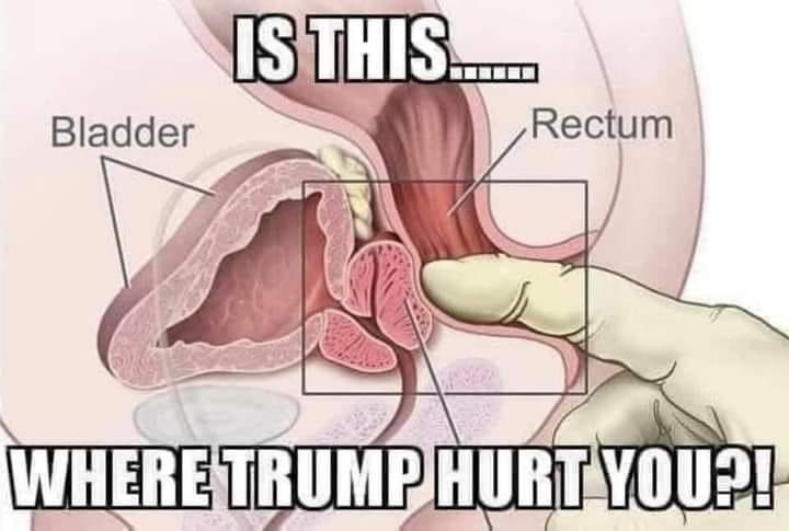 MAGA NATIONALIST⚔️🇺🇸 tweet media