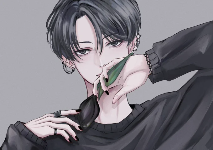 黒チューリップ 