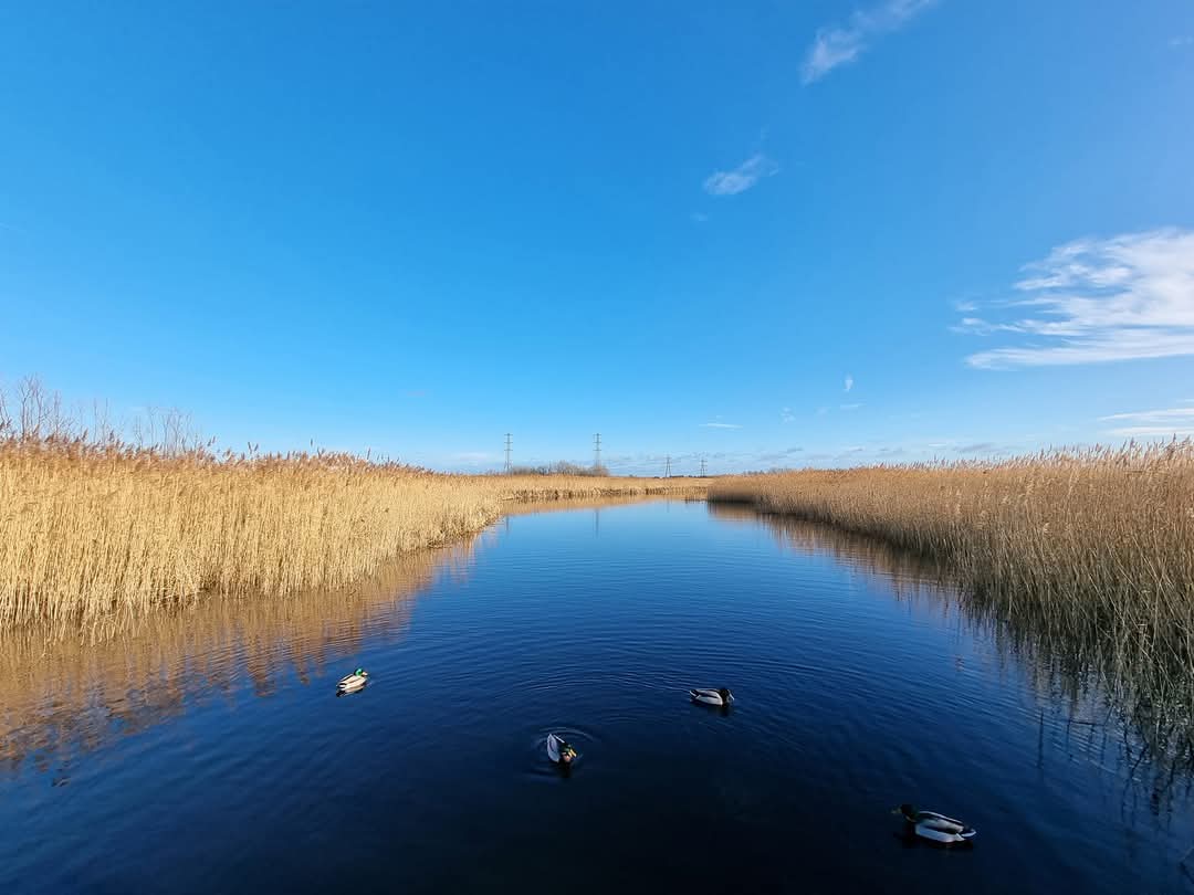 Happy 25th Birthday <a href="/RSPBNewport/">RSPB Newport Wetlands</a> 🎂🏴󠁧󠁢󠁷󠁬󠁳󠁿🥰🥰

<a href="/Natures_Voice/">RSPB</a> <a href="/RSPBCymru/">RSPB Cymru</a> #wetlands