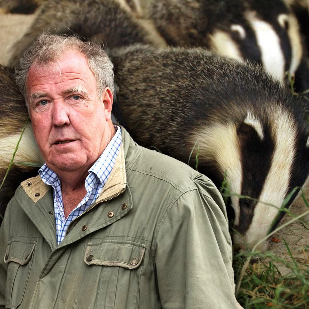 ProtectTheWild_'s tweet image. This is the lovely Jeremy Clarkson. He’s used his show ‘Clarkson’s Farm’ to vilify Badgers as responsible for the spread of bTB and has shot all the Badgers on his farm He’d hate it if people ‘shared’ this and signed the petition to end the Badger cull.. 

petition.parliament.uk/petitions/7003…