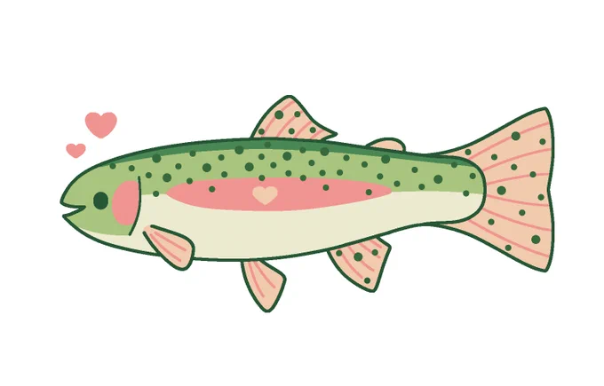  rainbow trout  