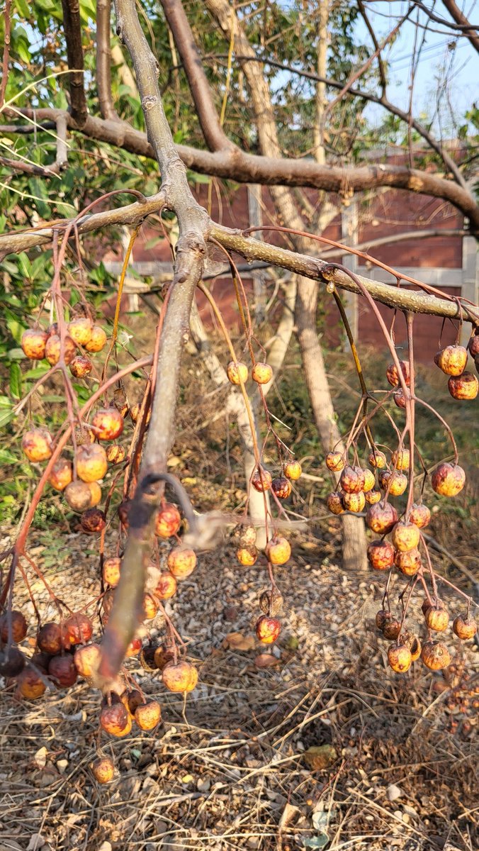 Simbarashe Mudavanhu tweet media