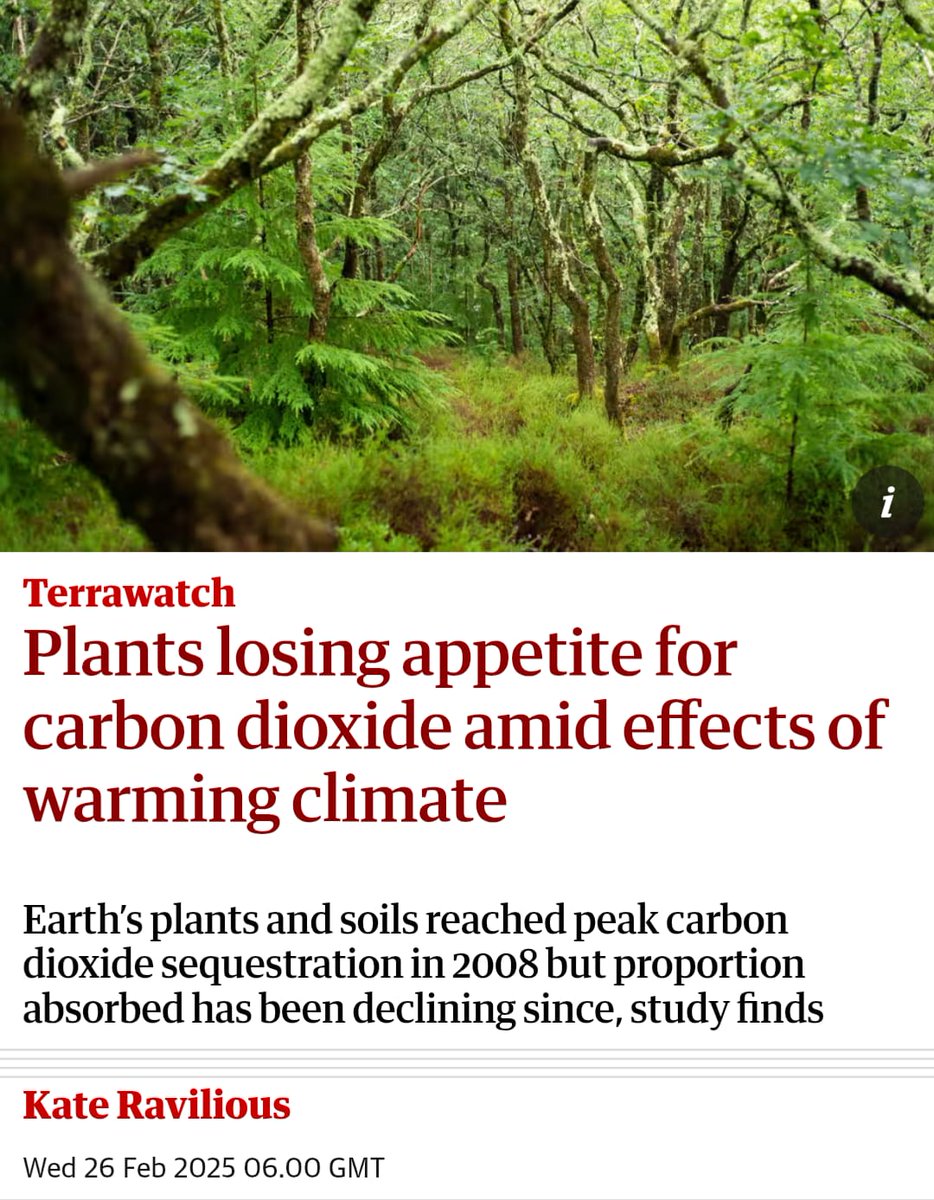 A recent study found that plants are losing their ability to take up CO2. This is just one out of several existential threats they face.

Plants and forests are also dying all over the world due to oxidative stress. The cause—ozone emitted by our modern industrial systems. 🧵

1/