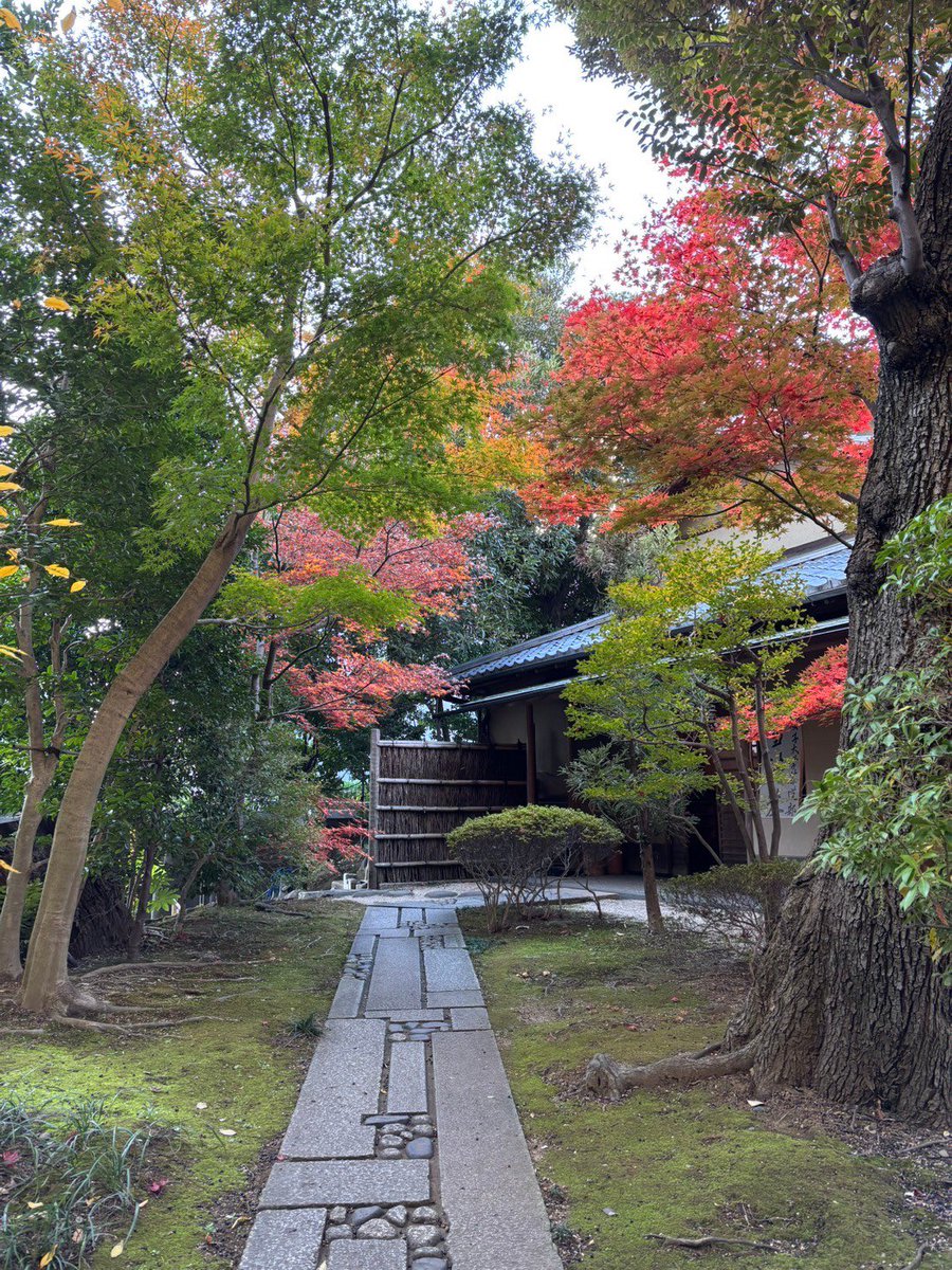 2024年12月8日
靖国神社 洗心亭にて、雪待茶会を開催致しました。
創部75周年を迎え、今回の茶会は大妻中高との合同で、豪華な開催となりました✨️
 #owu  #大妻女子大学  #茶道部