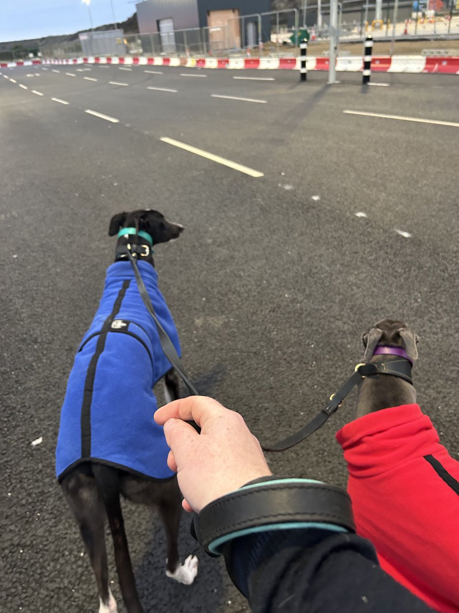 Axel and Lucia saying bye to Ireland. Loved the trip. Thank to all at limerick for their help and Dunphy’s for letting us stop off.