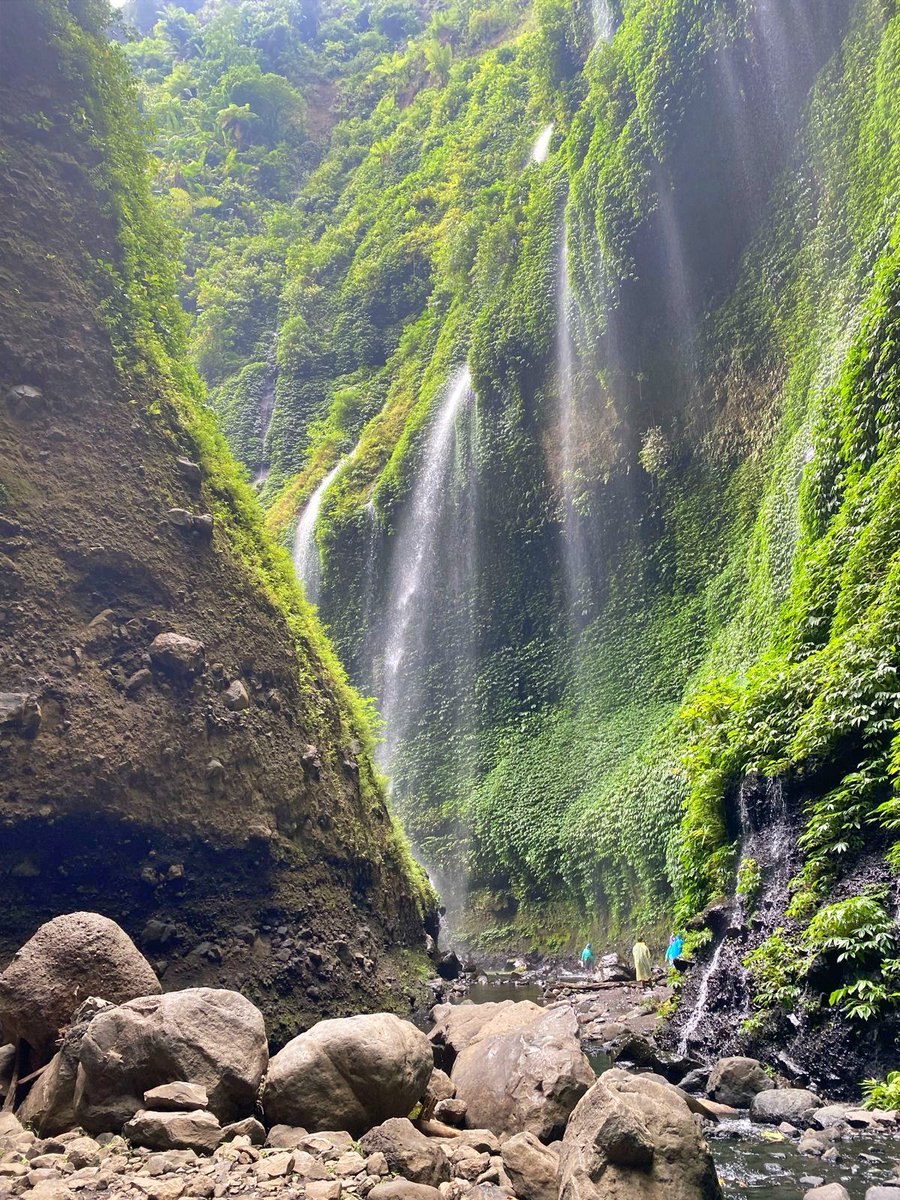 JogjaExplore's tweet image. Epic East Java Adventure: Jogja, Bromo, Ijen, and Sukamade Beach will take you on an incredible journey across the stunning landscapes of East Java. Admin
More details click jogjaexplore-tours.com/jogja-bromo-ij…
#javatour #overlandjava #indonesiatravel #eastjavatrip