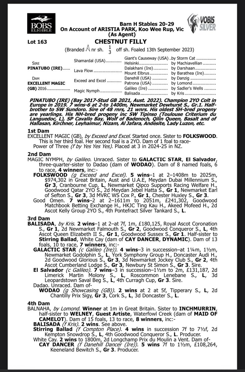 Liam Howley Racing (@howleyracing) on Twitter photo Introducing our Pinatubo x Excellent Magic (Exceed And Excel) filly purchased <a href="/inglis_sales/">Inglis</a> today for $240k from <a href="/aristiapark/">aristiapark</a> draft. Only 10% remains. Email: communications@liamhowley.com to get involved.
<a href="/bevanbloodstock/">Bevan Smith</a> <a href="/benkwok44444/">Ben Kwok</a> <a href="/AWilliamsBldstk/">Andrew Williams</a> <a href="/DarleyAus/">Darley in Australia</a> #pinatubo Introducing our Pinatubo x Excellent Magic (Exceed And Excel) filly purchased <a href="/inglis_sales/">Inglis</a> today for $240k from <a href="/aristiapark/">aristiapark</a> draft. Only 10% remains. Email: communications@liamhowley.com to get involved.
<a href="/bevanbloodstock/">Bevan Smith</a> <a href="/benkwok44444/">Ben Kwok</a> <a href="/AWilliamsBldstk/">Andrew Williams</a> <a href="/DarleyAus/">Darley in Australia</a> #pinatubo