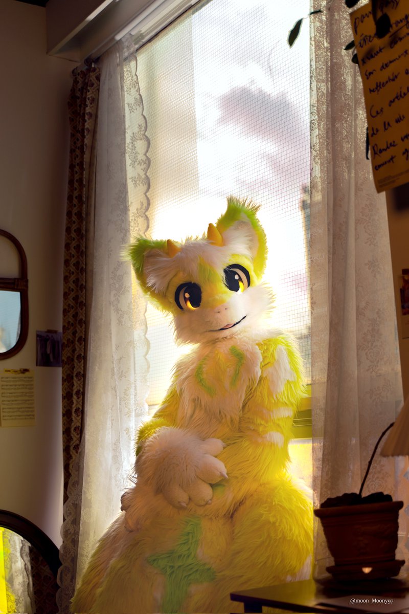 #퍼리_𝕏친소 #퍼리_트친소
레몬라임용 아스티입니다!
여퍼만 퍼슈터이고 퍼리 그림 퍼슈트 사진 사이트 furpic.net 만들고 있어요!
흔적 남겨주시면 RT 위주로 마음에 맞는 분 찾아가요~!
저도 트친소 흥했으면 좋겠어요 🥹 RT 💕💕